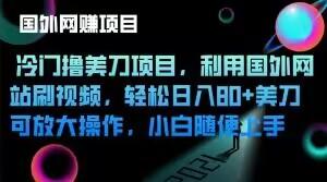 冷门撸美刀项目，利用国外网站刷视频，轻松日入80+美刀，可放大操作，小白随便上手-星禾网创星球