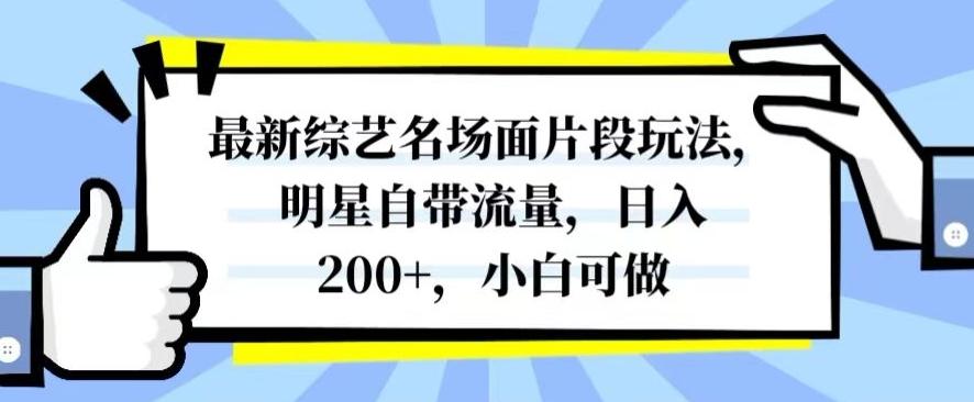 最新综艺名场面片段玩法，明星自带流量，日入200+，小白可做【揭秘】-星禾网创星球