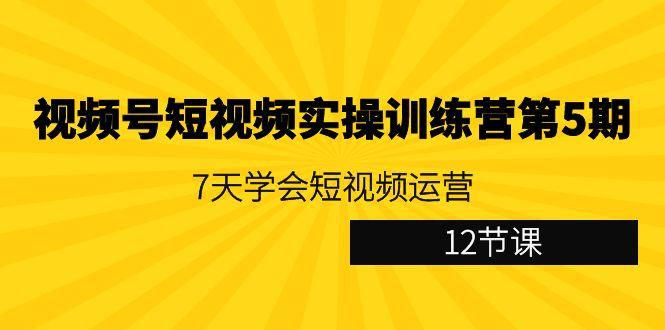 视频号短视频实操训练营第5期：7天学会短视频运营(12节课)-星禾网创星球