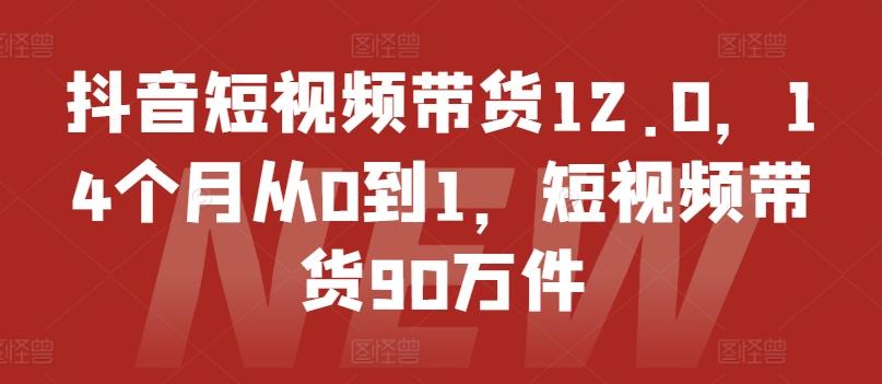 抖音短视频带货12.0，14个月从0到1，短视频带货90万件-星禾网创星球