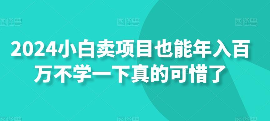 2024小白卖项目也能年入百万不学一下真的可惜了-星禾网创星球