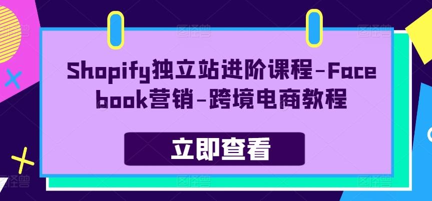 Shopify独立站进阶课程-Facebook营销-跨境电商教程-星禾网创星球