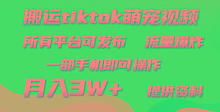 (9618期)搬运Tiktok萌宠类视频，一部手机即可。所有短视频平台均可操作，月入3W+-星禾网创星球