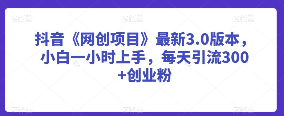 抖音《网创项目》最新3.0版本，小白一小时上手，每天引流300+创业粉【揭秘】-星禾网创星球