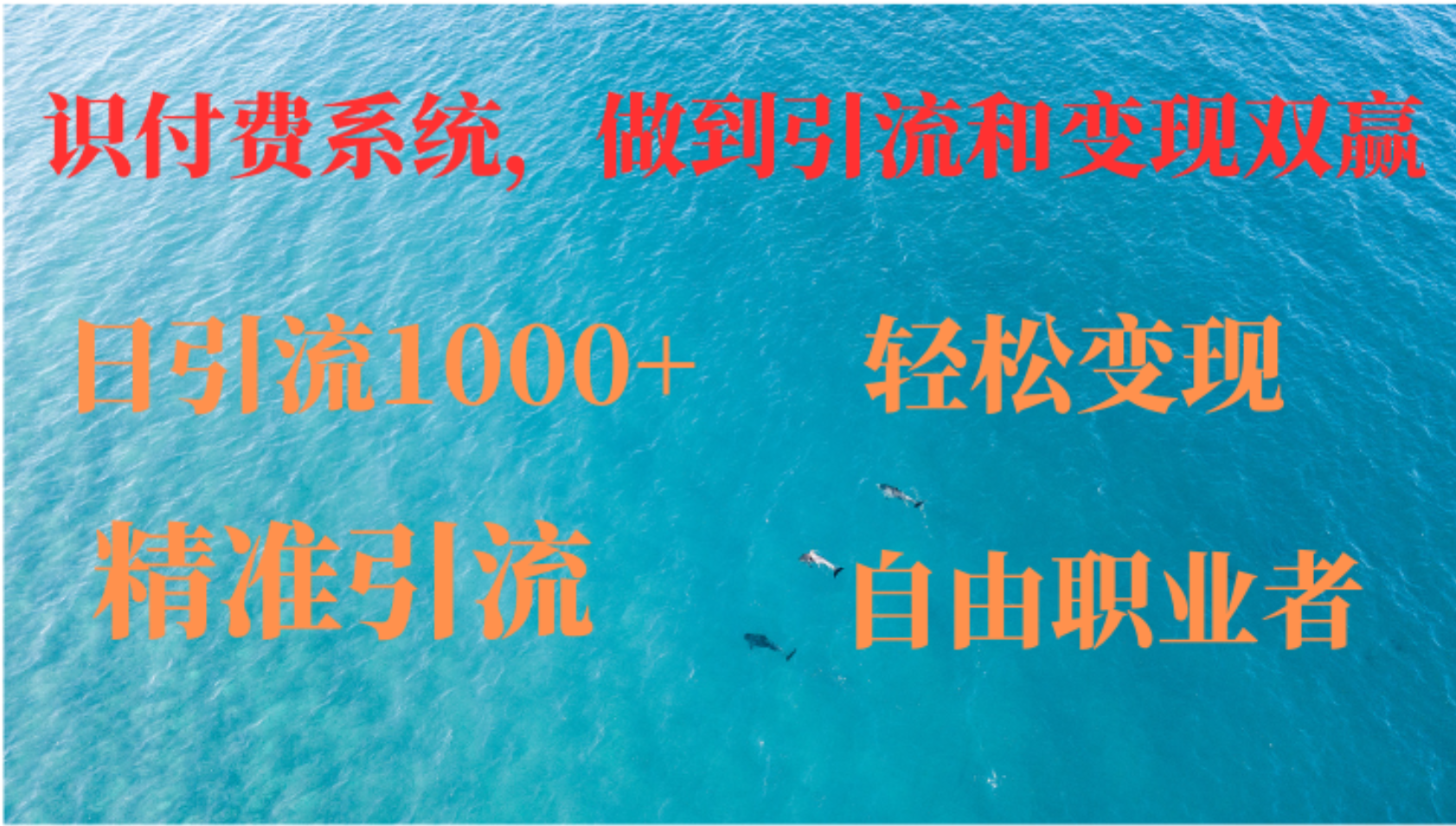 如何搭建自己的知识付费系统，做到引流和变现双赢-星禾网创星球