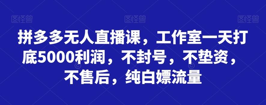 拼多多无人直播课，工作室一天打底5000利润，不封号，不垫资，不售后，纯白嫖流量-星禾网创星球
