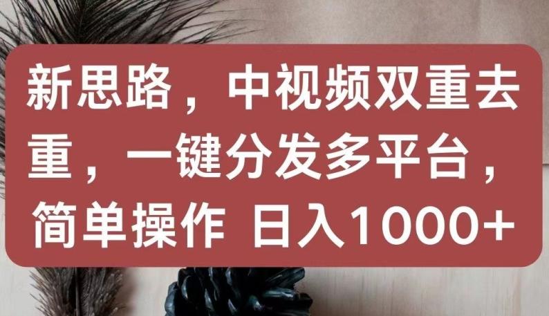 新思路，中视频双重去重，一键分发多平台，简单操作，日入1000+【揭秘】-星禾网创星球
