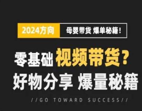 短视频母婴赛道实操流量训练营，零基础视频带货，好物分享，爆量秘籍-星禾网创星球