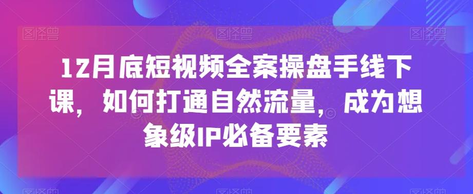 12月底短视频全案操盘手线下课，如何打通自然流量，成为想象级IP必备要素-星禾网创星球