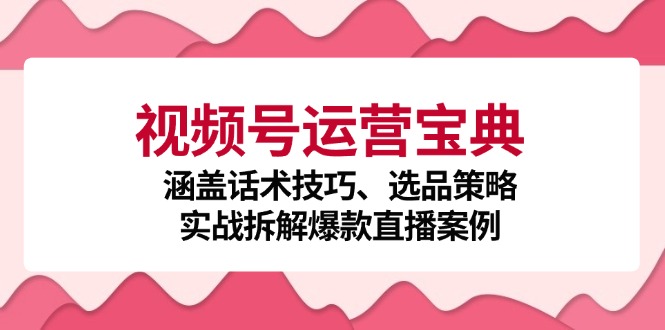 视频号运营宝典：涵盖话术技巧、选品策略、实战拆解爆款直播案例-星禾网创星球