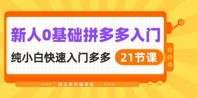新人0基础拼多多入门，​纯小白快速入门多多(21节课-星禾网创星球