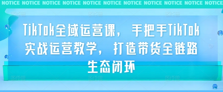 TikTok全域运营课，手把手TikTok实战运营教学，打造带货全链路生态闭环-星禾网创星球