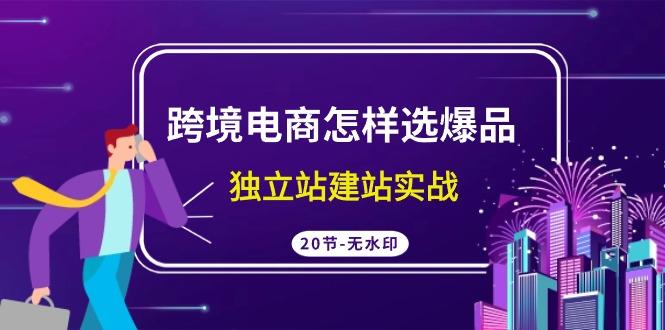(9369期)跨境电商怎样选爆品，独立站建站实战(20节高清无水印课)-星禾网创星球