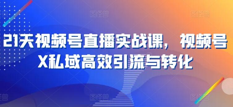 21天视频号直播实战课，视频号X私域高效引流与转化-星禾网创星球