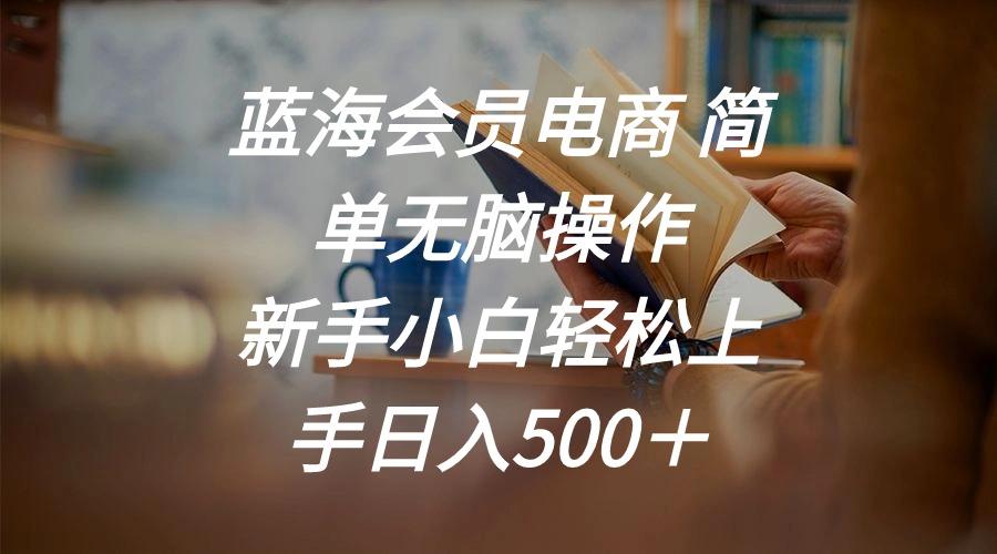 蓝海会员电商 简单无脑操作 新手小白轻松上手日入500＋-星禾网创星球
