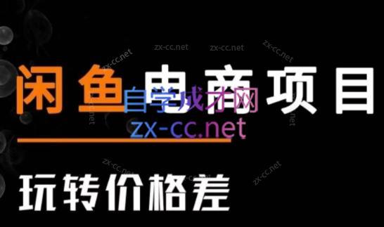 亿创繁星·闲鱼电商项目(玩转价格差)-星禾网创星球