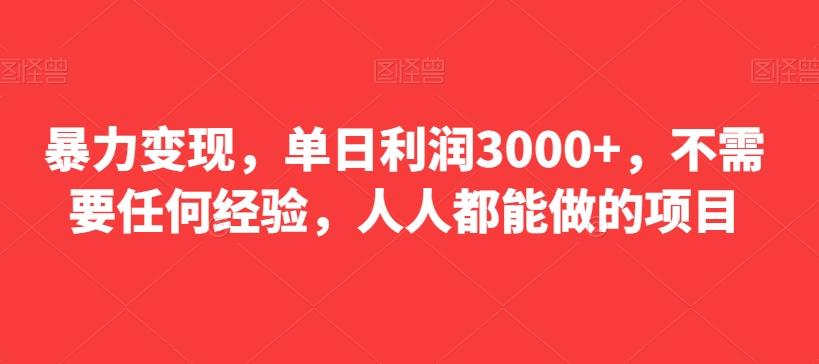 暴力变现，单日利润3000+，不需要任何经验，人人都能做的项目-星禾网创星球
