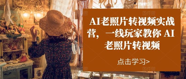 AI老照片转视频实战营，一线玩家教你AI老照片转视频-星禾网创星球
