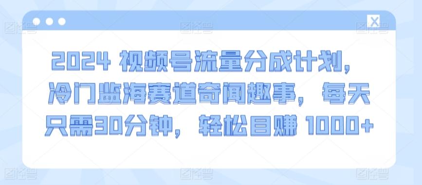 2024视频号流量分成计划，冷门监海赛道奇闻趣事，每天只需30分钟，轻松目赚 1000+【揭秘】-星禾网创星球