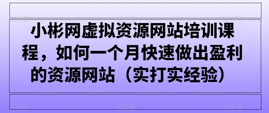小彬网虚拟资源网站培训课程，如何一个月快速做出盈利的资源网站(实打实经验)-星禾网创星球