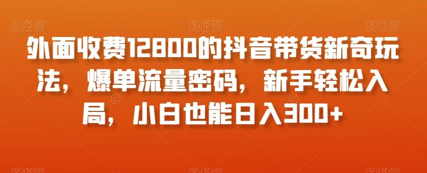 外面收费12800的抖音带货新奇玩法，爆单流量密码，新手轻松入局，小白也能日入300+【揭秘】-星禾网创星球