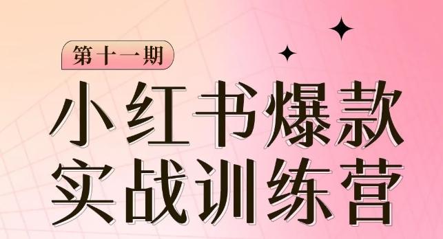 小红书博主爆款训练营第11期，手把手教你从0-1做小红书，从定位到起号到变现-星禾网创星球
