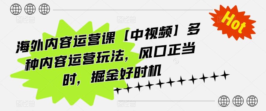 海外内容运营课【中视频】多种内容运营玩法，风口正当时，掘金好时机-星禾网创星球