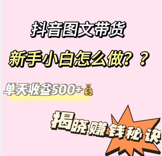 抖音图文带货，新手小白怎么做？单天收益500+【揭秘赚钱秘诀】-星禾网创星球