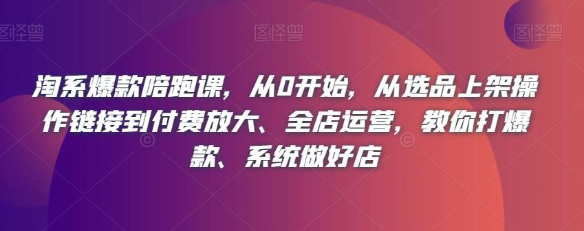 淘系爆款陪跑课，从0开始，从选品上架操作链接到付费放大、全店运营，教你打爆款、系统做好店-星禾网创星球