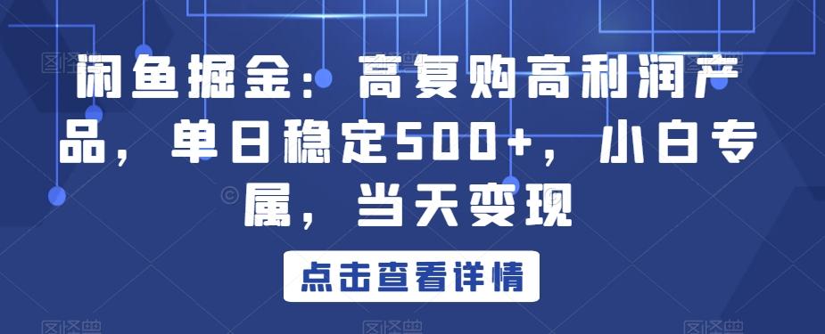 闲鱼掘金：高复购高利润产品，单日稳定500+，小白专属，当天变现-星禾网创星球