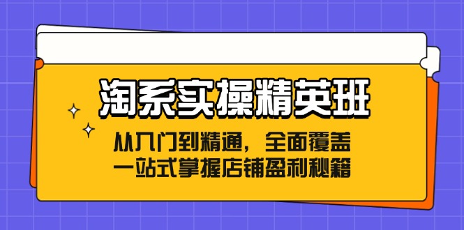 淘系实操精英班：从入门到精通，全面覆盖，一站式掌握店铺盈利秘籍-星禾网创星球