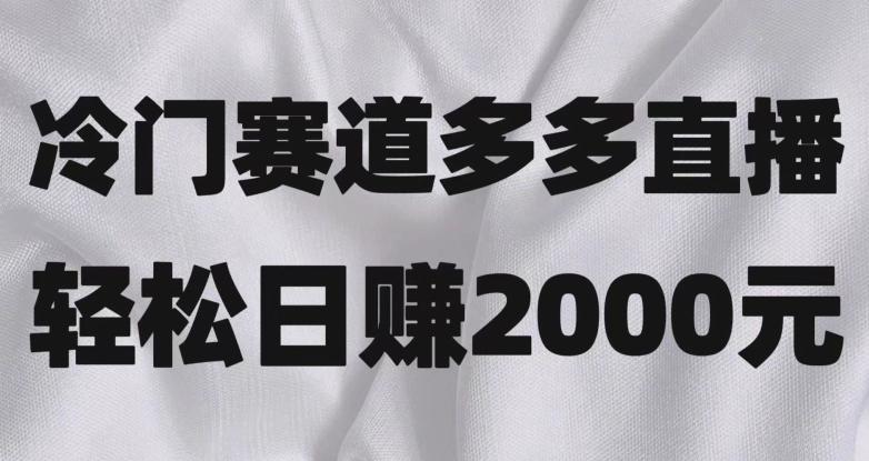 冷门赛道拼多多直播，简单念稿子，日收益2000＋【揭秘】-星禾网创星球