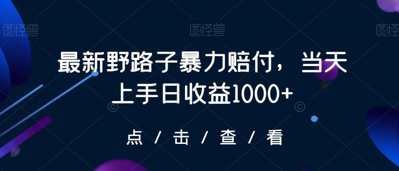 最新野路子暴力赔付，当天上手日收益1000+【仅揭秘】-星禾网创星球