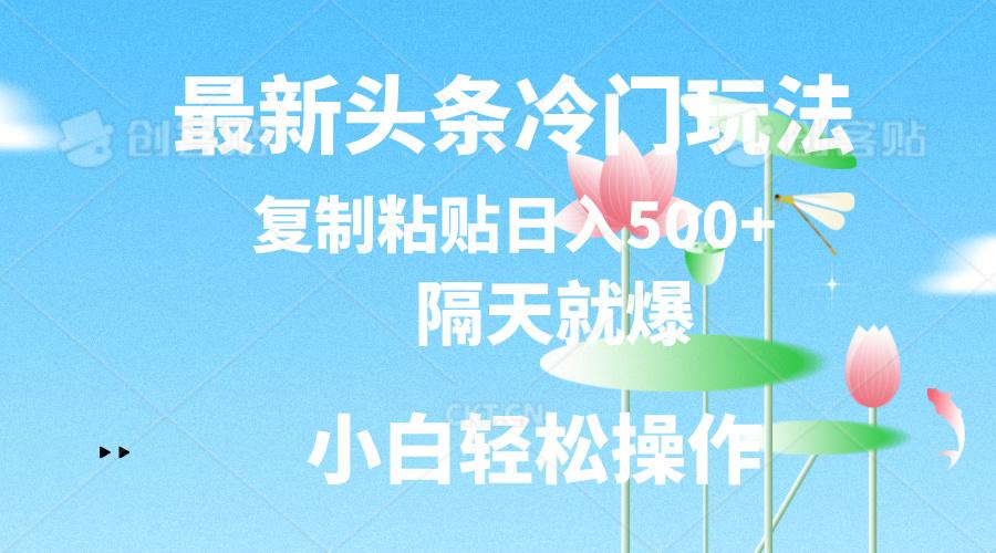最新头条冷门玩法，隔天就爆，复制粘贴日入500+-星禾网创星球