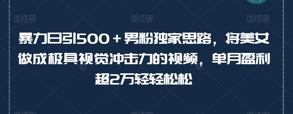 暴力日引500＋男粉独家思路，将美女做成极具视觉冲击力的视频，单月盈利超2万轻轻松松-星禾网创星球