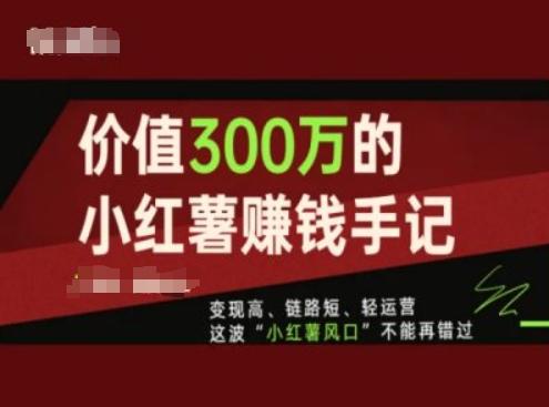 价值300万的小红书赚钱手记，变现高、链路短、轻运营，这波“小红薯风口”不能再错过-星禾网创星球