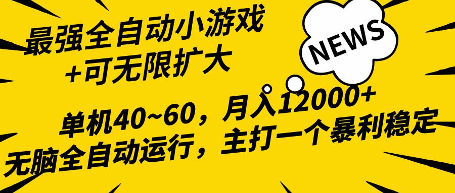 (10046期)2024最新全网独家小游戏全自动，单机40~60,稳定躺赚，小白都能月入过万-星禾网创星球