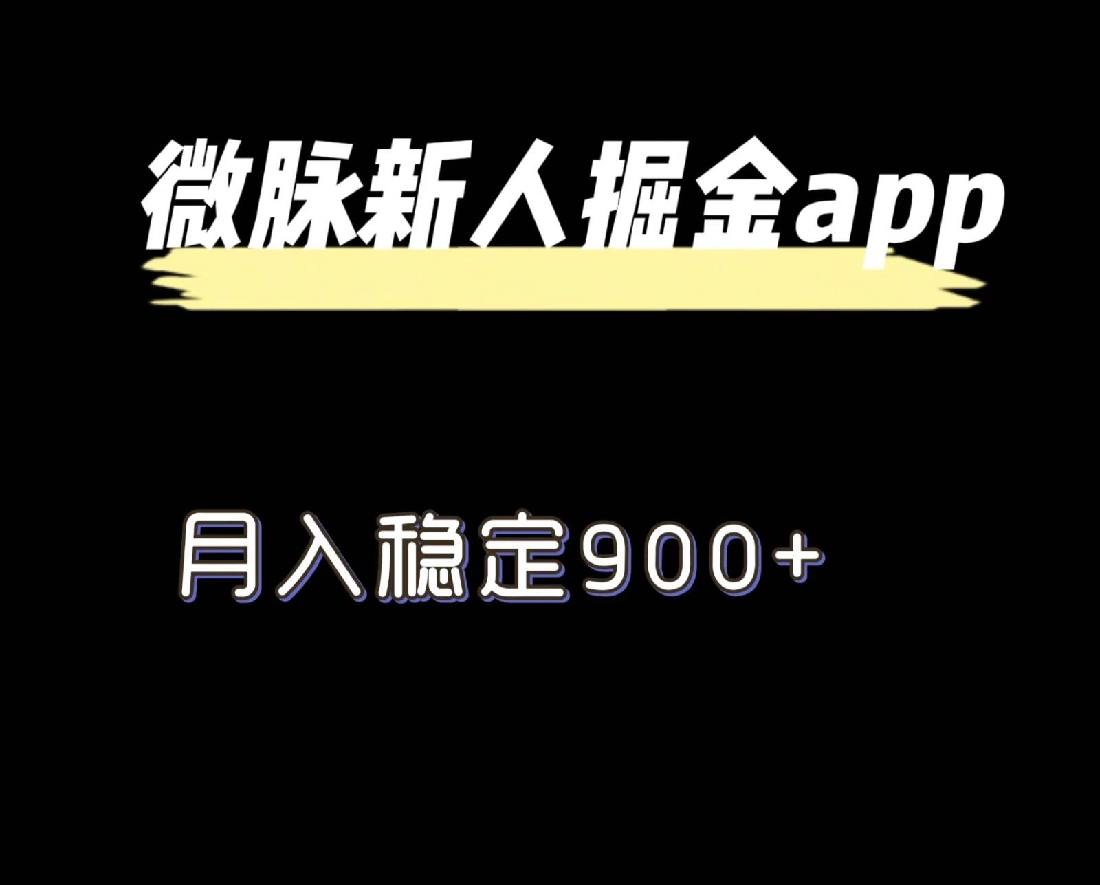 最新微脉长久项目，拉新掘金，月入稳定900+-星禾网创星球