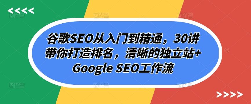 谷歌SEO从入门到精通，30讲带你打造排名，清晰的独立站+Google SEO工作流-星禾网创星球