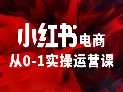 小红书电商从0-1实操运营课，让你从小白到精英-星禾网创星球