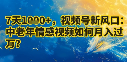 7天收益1k+，视频号新风口：中老年情感视频如何月入过W?-星禾网创星球