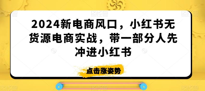 2024新电商风口，小红书无货源电商实战，带一部分人先冲进小红书-星禾网创星球
