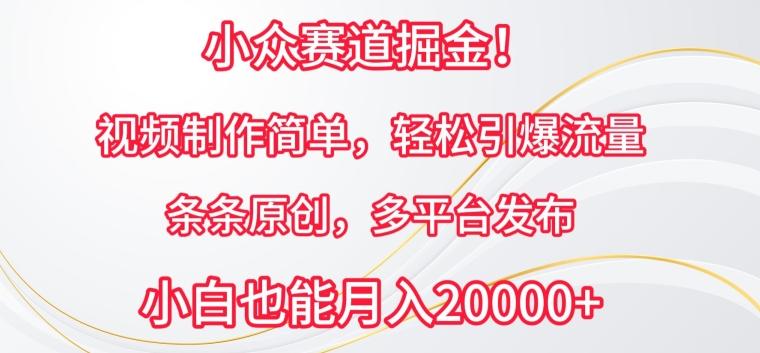 小众赛道掘金，视频制作简单，轻松引爆流量，条条原创，多平台发布【揭秘】-星禾网创星球