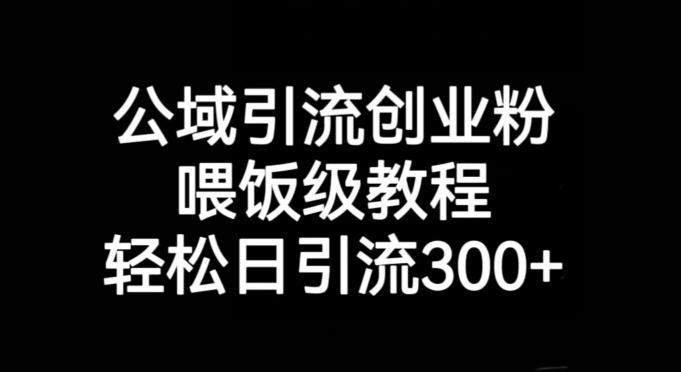公域引流创业粉，喂饭级教程，轻松日引流300+【揭秘】-星禾网创星球