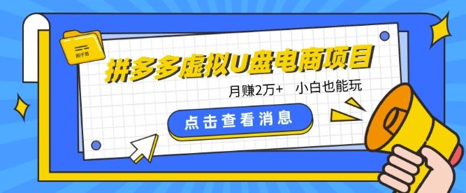 拼多多虚拟U盘电商红利项目：月赚2万+，新手小白也能玩-星禾网创星球