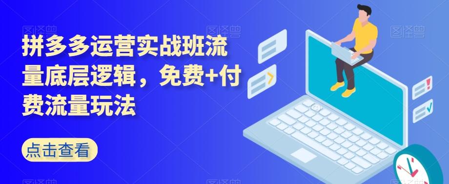拼多多运营实战班流量底层逻辑，免费+付费流量玩法-星禾网创星球