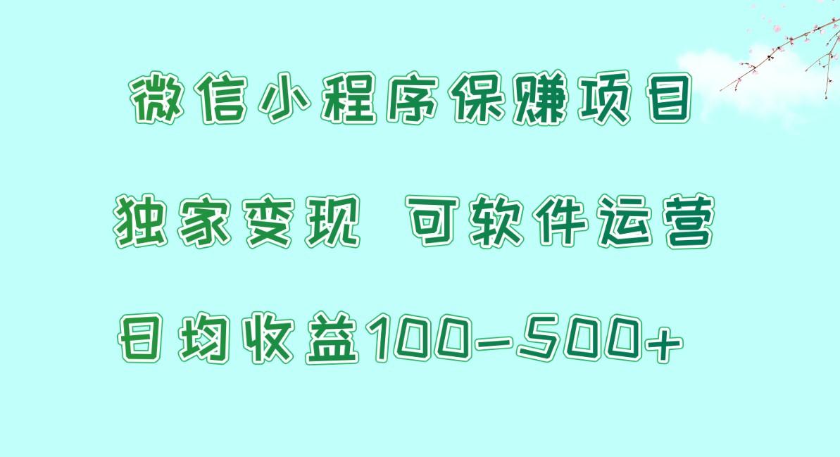 微信小程序保赚项目，日均收益100~500+，独家变现，可软件运营-星禾网创星球
