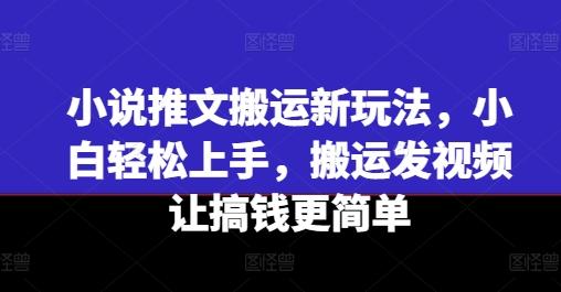 小说推文搬运新玩法，小白轻松上手，搬运发视频让搞钱更简单-星禾网创星球