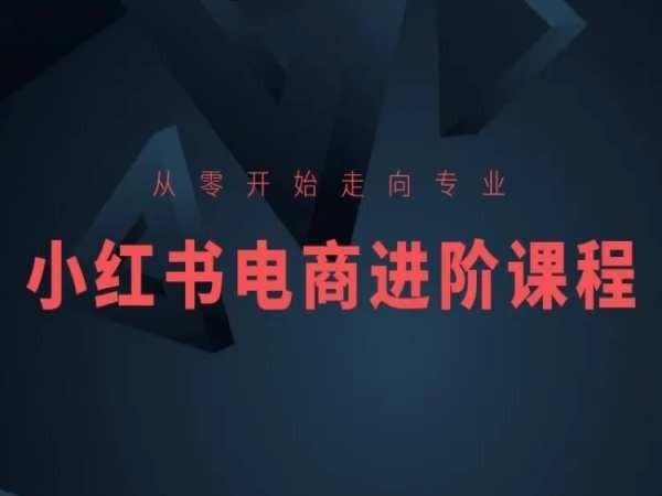 从零开始走向专业，小红书电商进阶课程-星禾网创星球