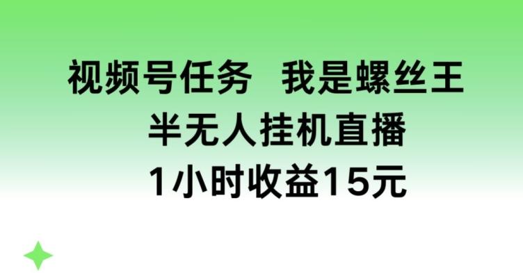 视频号任务，我是螺丝王， 半无人挂机1小时收益15元【揭秘】-星禾网创星球